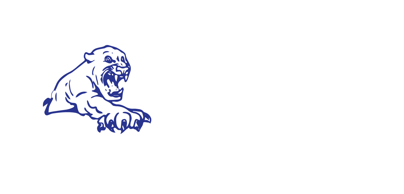 Puma Roofing Austin